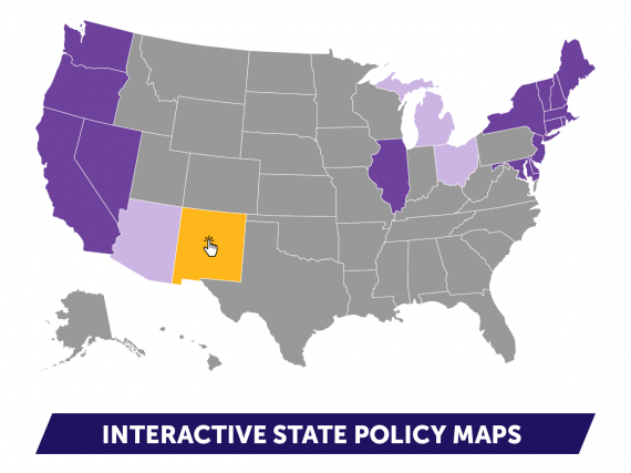 A map of the United States with several states selected in purple or yellow as an example of how the interactive maps could look. 