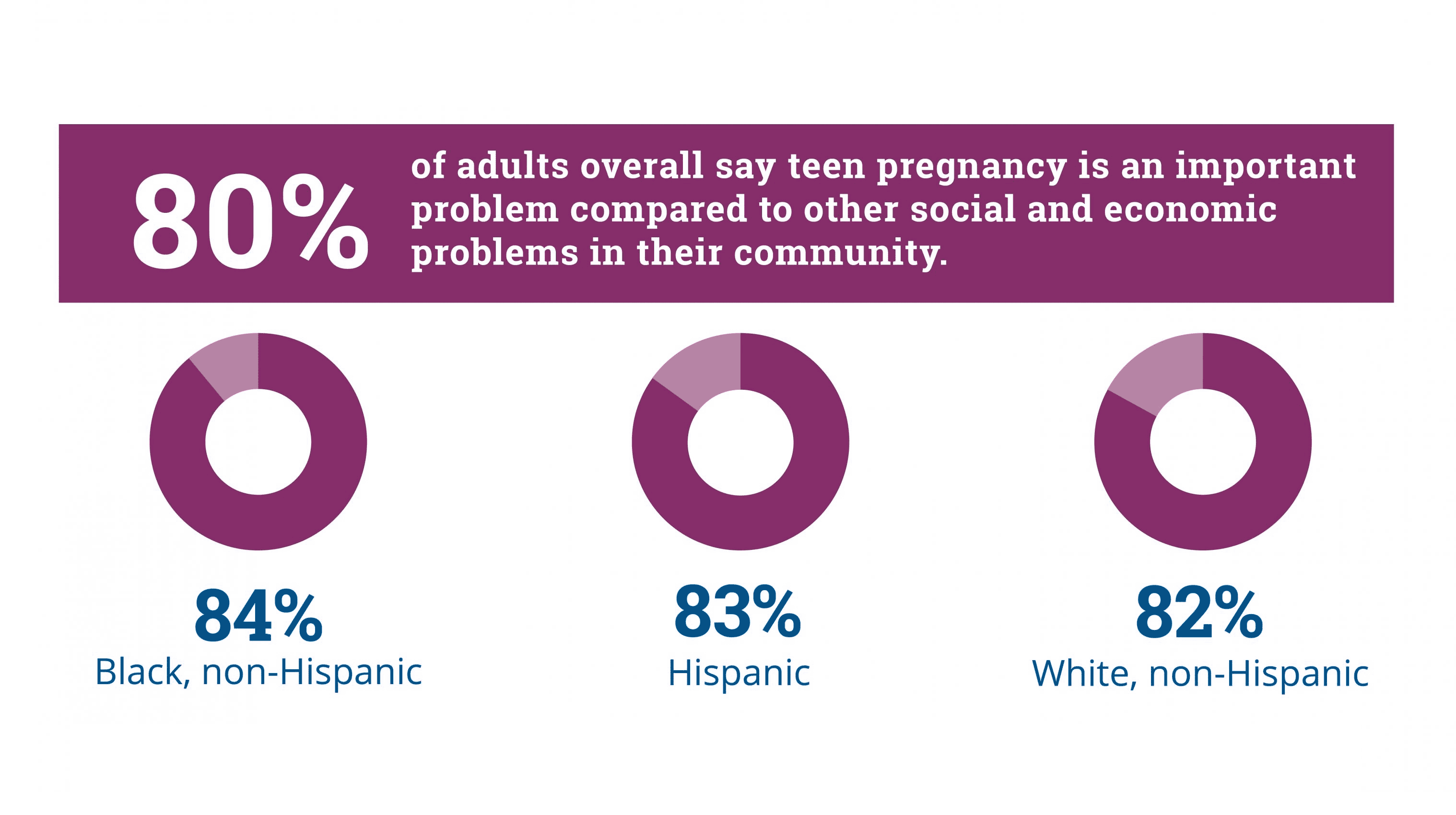 80% of adults overall say teen pregnancy is an important problem compared to other social and economic problems in their community.