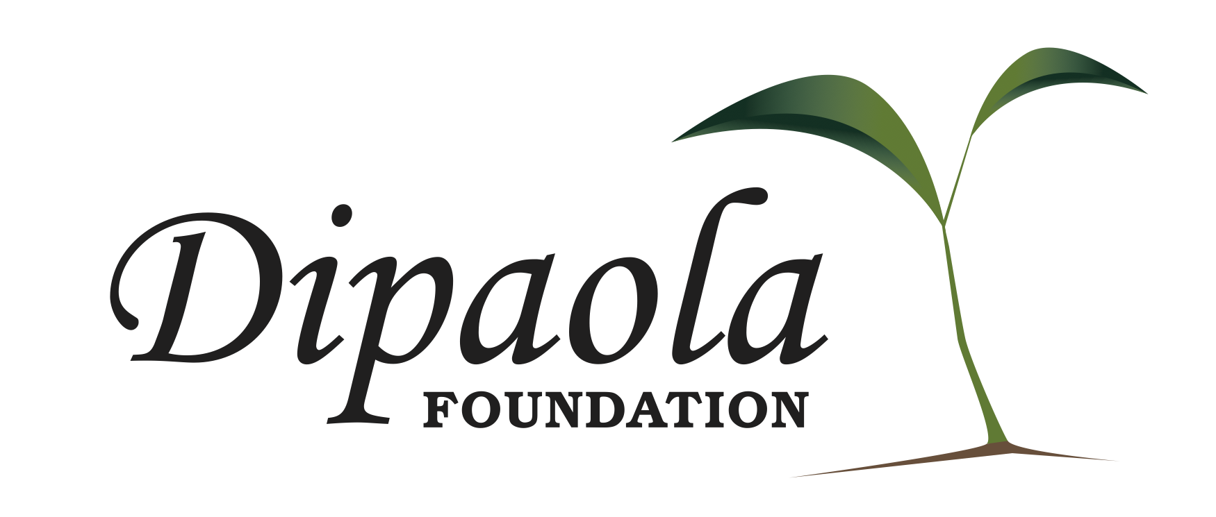 The logo for the DiPaola Foundation. 