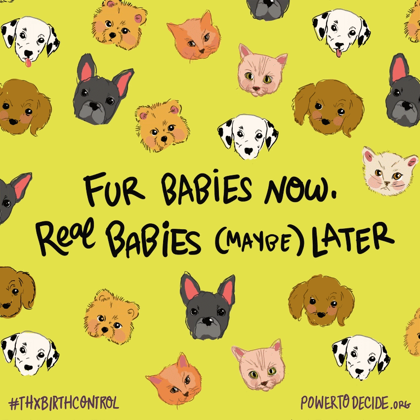 Fur babies now. Real babies (maybe) later. #ThxBirthControl