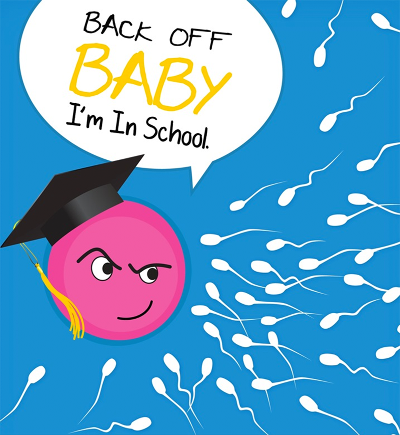 Preventing Unplanned Pregnancy and Completing College: Online Lessons