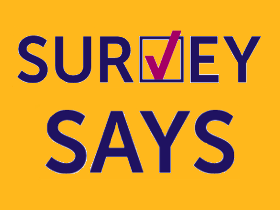 A yellow background with blue letters that read, "Survey Says" the V of survey is a check mark. 