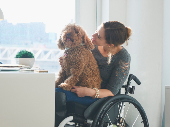 A woman in a wheelchair sits at her desk with her dog in her lap. 