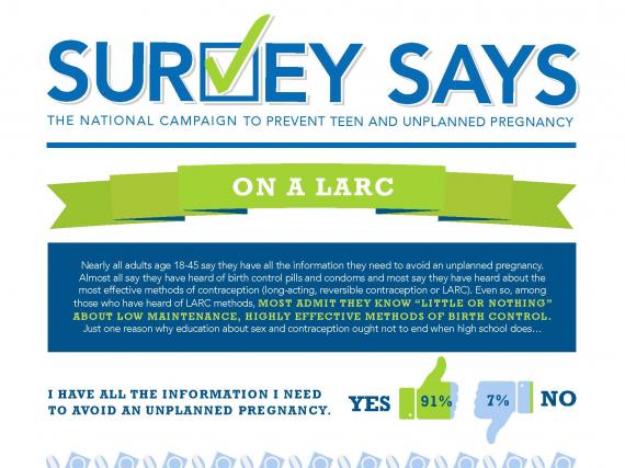 Survey Says: On a LARC (February 2015)